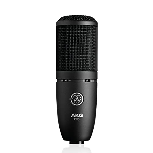 AKG Pro Audio Perception P120 Professional Studio Microphone, Silver