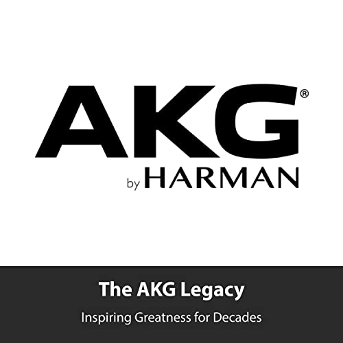 AKG Pro Audio Perception P120 Professional Studio Microphone, Silver