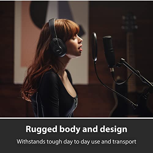 AKG Pro Audio Perception P120 Professional Studio Microphone, Silver