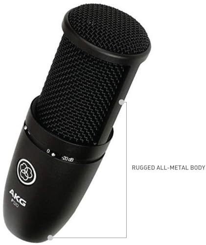 AKG Pro Audio Perception P120 Professional Studio Microphone, Silver