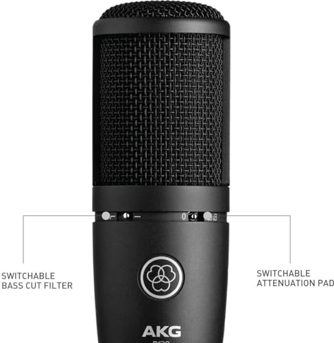 AKG Pro Audio Perception P120 Professional Studio Microphone, Silver