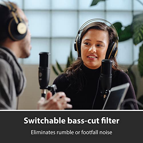 AKG Pro Audio Perception P120 Professional Studio Microphone, Silver