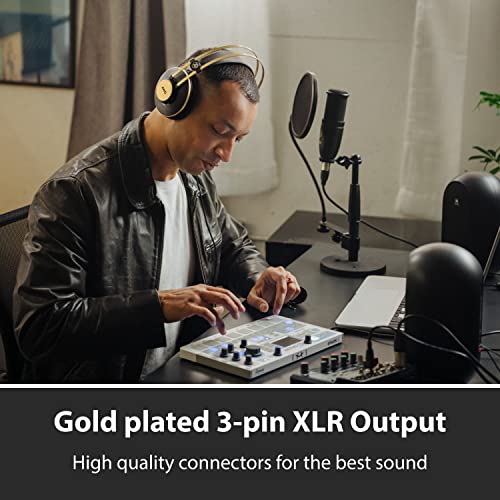 AKG Pro Audio Perception P120 Professional Studio Microphone, Silver