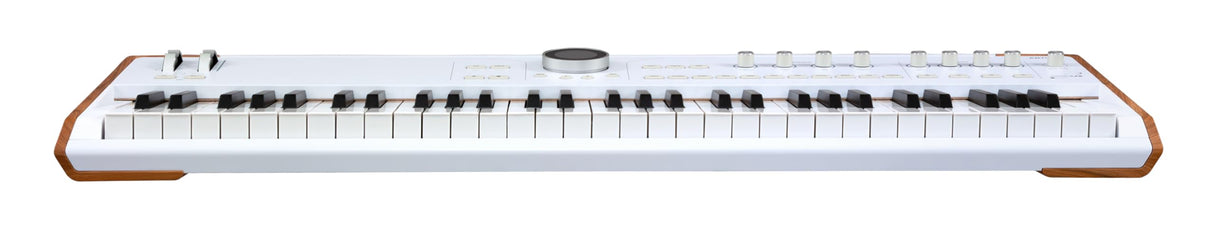 Arturia AstroLab 61-Key Semi-Weighted Stage Keyboard — With 1300 Sounds and Analog Lab Pro Software Included