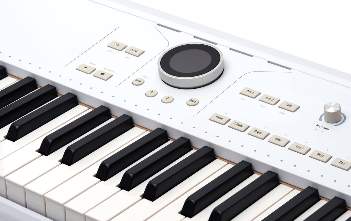 Arturia AstroLab 61-Key Semi-Weighted Stage Keyboard — With 1300 Sounds and Analog Lab Pro Software Included