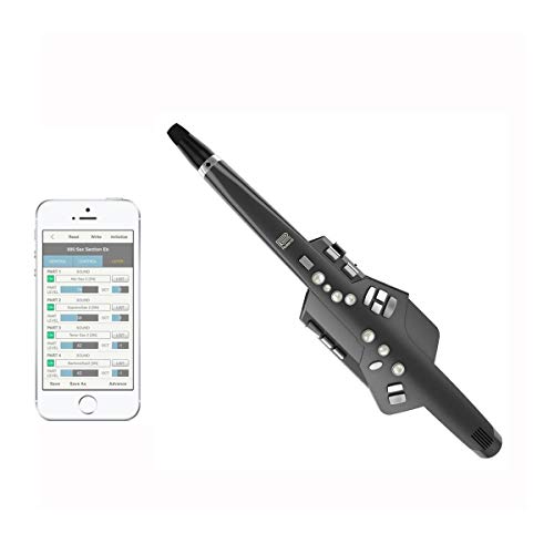 Roland AE-10G Aerophone Digital Wind Instrument, Graphite