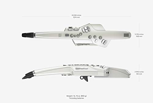 Roland AE-10G Aerophone Digital Wind Instrument, Graphite