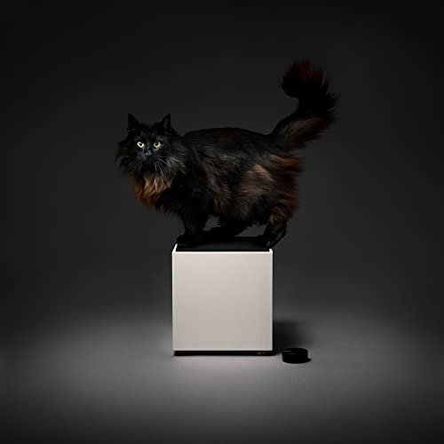 teenage engineering OD-11 Cloud Speaker - Wireless Stereo Loudspeaker with 100-Watt Amplifier, WiFi and Bluetooth Connectivity - Compatible with AirPlay and Spotify