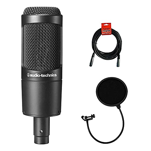 Audio-Technica AT2035 Large Diaphragm Studio Condenser Microphone
