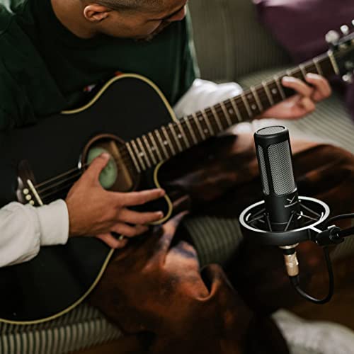 Beyerdynamics PRO X M90 Side Addressed Condenser Microphone with Storage Bag, Pop Filter, and Shock Mount Bundle with Blucoil 10-Foot Balanced XLR Cable, 5x Cable Ties, and 4x 12" Acoustic Wedges