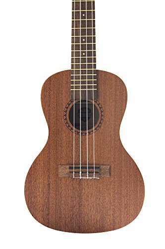 Kala Learn To Play Ukulele Starter Kit (KALA-LTP-S)