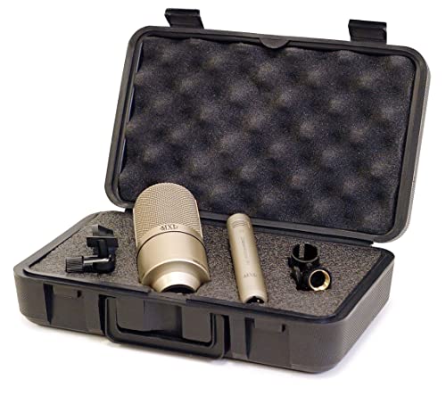 MXL 990/991 Large and Small Diaphragm Condenser Microphone Bundle with Blucoil 2-Pack of 10' XLR Cables, and Boom Arm Plus Pop Filter - for Vocals, Acoustic Guitars, and Drum Overheads