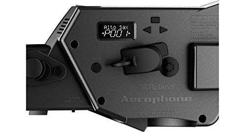 Roland AE-10G Aerophone Digital Wind Instrument, Graphite