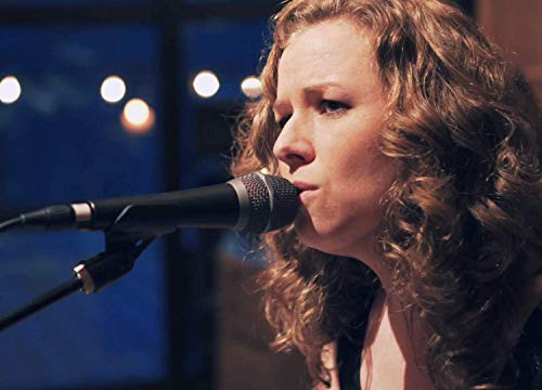 blucoil sE Electronic V7 Supercardioid Dynamic Microphone Bundle 10' XLR Cable, Pop Filter, and 5-Pack of Reusable Velcro Cable Ties - for Vocals, Electric Guitars, Drums, Broadcasting