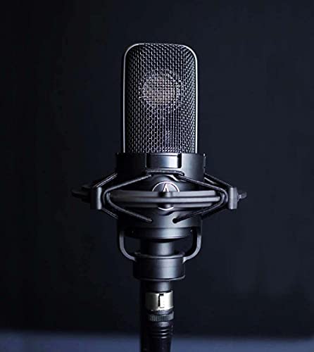 Audio-Technica AT4040 Cardioid Condenser Microphone with High Pass Filter & 10dB Attenuation Pad Bundle with Blucoil 20' XLR Cable, Pop Filter, Adjustable Mic Stand, and 4-Pack of 12 Acoustic Wedges