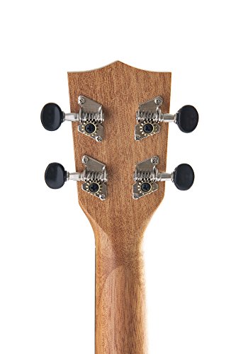Kala Learn To Play Ukulele Starter Kit (KALA-LTP-S)