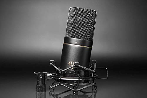 Behringer MXL 770 Condenser Microphone with U-PHORIA UM2 USB Audio Interface, Blucoil Boom Arm Plus Pop Filter, and 10' XLR Cable for Vocals and String Instruments