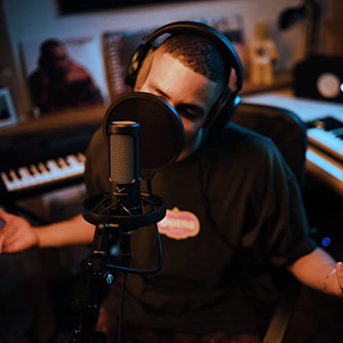 Beyerdynamics PRO X M90 Side Addressed Condenser Microphone with Storage Bag, Pop Filter, and Shock Mount Bundle with Blucoil 10-Foot Balanced XLR Cable, 5x Cable Ties, and 4x 12" Acoustic Wedges