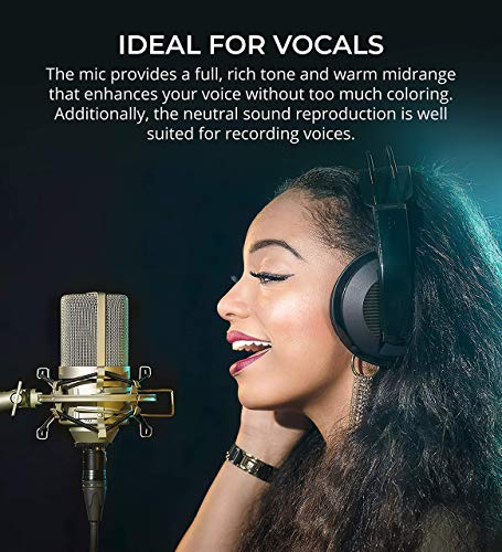 MXL 990 Cardioid Condenser Microphone for Vocals and Guitars (Champagne) Bundle with Blucoil 20-FT Balanced XLR Cable, Pop Filter, Adjustable Microphone Tripod Stand, and 4X 12 Acoustic Wedges