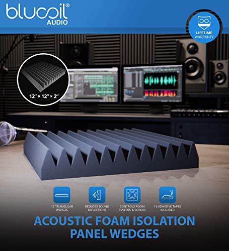 Samson C02 Pencil Condenser Microphones Pair for Vocals, Acoustic Guitars, Pianos, Overhead Drums Bundle with Blucoil 20-FT Balanced XLR Cable, Adjustable Mic Stand, and 4x 12" Acoustic Wedges