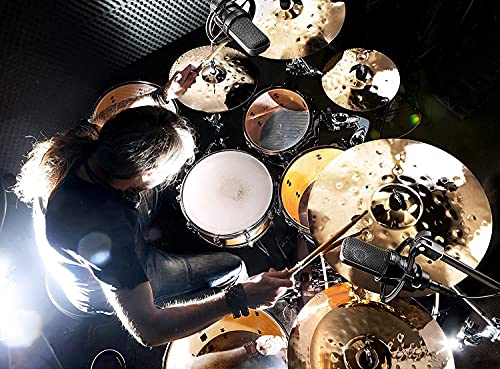 Audio-Technica AT4040 Cardioid Condenser Microphone with High Pass Filter & 10dB Attenuation Pad Bundle with Blucoil 20' XLR Cable, Pop Filter, Adjustable Mic Stand, and 4-Pack of 12 Acoustic Wedges