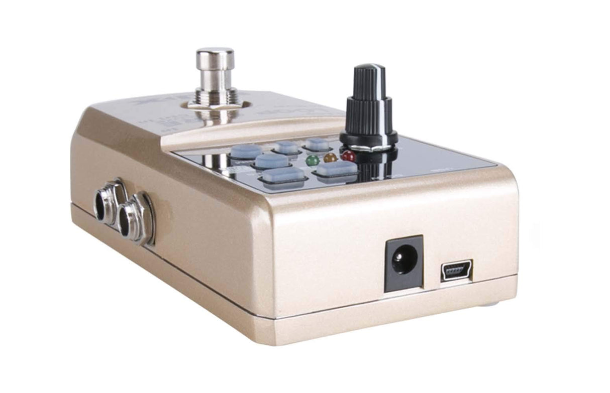 NUX Loop Core Deluxe Looper Pedal Bundle with NUX NMP-2 Dual Footswitch, Blucoil 2-Pack of 9V AC Adapter, 2-Pack of 10-FT Straight Instrument Cables (1/4in), 2x Patch Cables, and 4x Guitar Picks