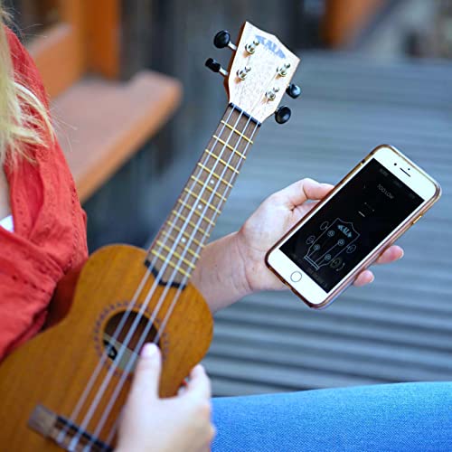 Kala Learn to Play Ukulele Soprano Starter Kit, Satin Mahogany - Includes Online Lessons, Tuner App, and Booklet (KALA-LTP-S) Bundle with Blucoil Ukulele Accessories Kit