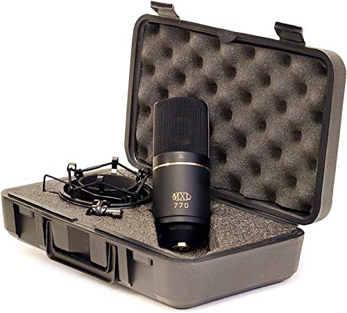 Behringer MXL 770 Condenser Microphone with U-PHORIA UM2 USB Audio Interface, Blucoil Boom Arm Plus Pop Filter, and 10' XLR Cable for Vocals and String Instruments