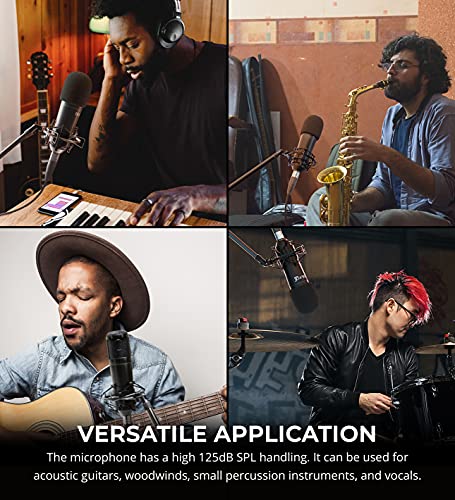 Studio 24c 2x2, 192 kHz, USB Audio Interface with Studio One Artist Bundle with Blucoil Cardioid Condenser Studio XLR Microphone, Pop Filter, 10-FT Balanced XLR Cable, and 5x Cable Ties