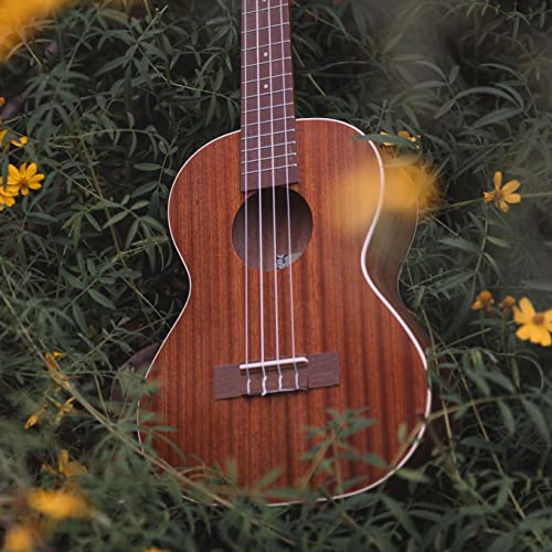 Kala Satin Mahogany Concert Ukulele with White Binding (KA-C), Brown with Rosewood Fretwood and Aquila Super Nylgut Strings Bundle with Downloadable Kala App, and Blucoil Ukulele Accessories Kit