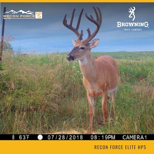 Browning Trail Cameras Recon Force Elite HP5 - BTC-7E-HP5 - Game Camera, Wildlife Motion-Activated Camera