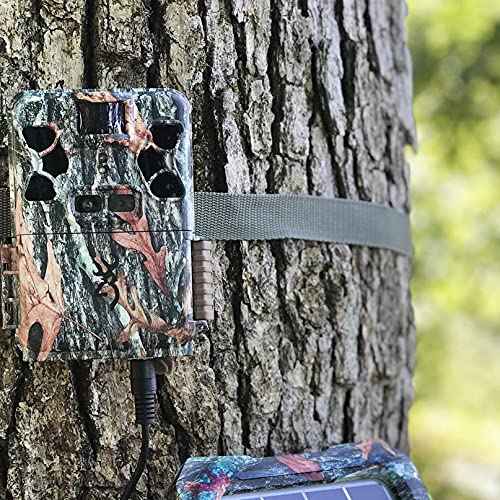 Browning BTC-Patriot-FHD Recon Force Patriot FHD Trail Cameras for Outdoor Surveillance (2-Pack) Bundle with Blucoil 32GB SDHC Cards (2-Pack), 6 AA Batteries, 6.5' Cable Lock, and VidPro Card Reader