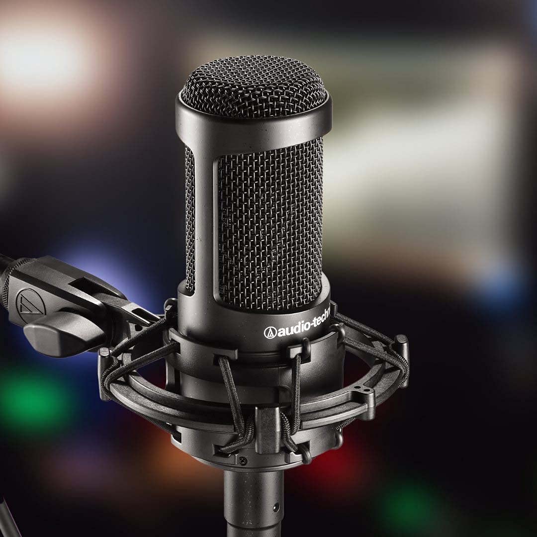 blucoil Audio Technica AT2035 Cardioid Condenser Microphone Bundle Pop Filter Windscreen, 2-Pack of 20-FT Balanced XLR Cables, and 5-Pack of Reusable Cable Ties