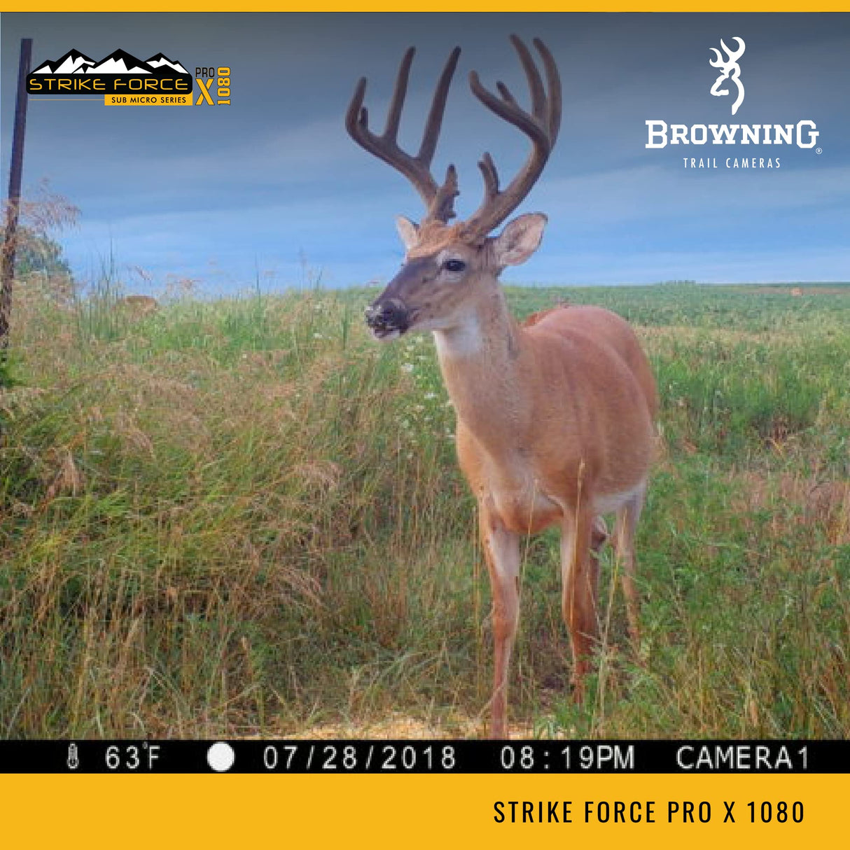 Browning Trail Cameras - Strike Force Pro X 1080 - BTC-5PX-1080 - Game Camera, Wildlife Motion-Activated Camera