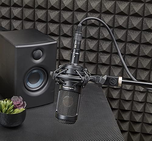 Audio-Technica Condenser Microphone, Black (AT2035)