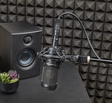 Audio-Technica Condenser Microphone, Black (AT2035)