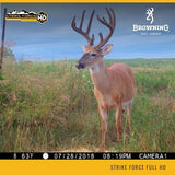 Browning Strike Force Full HD Trail Camera