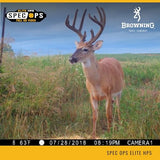 Browning Trail Cameras Spec Ops Elite HP5 - BTC-8E-HP5 - Game Camera, Wildlife Motion-Activated Camera