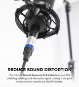 Studio 26c 2x4, 192 kHz, USB Audio Interface for Mac and Windows Bundle with Audio Technica AT2020 Condenser Microphone, Blucoil Boom Arm Plus Pop Filter, and 10-FT Balanced XLR Cable