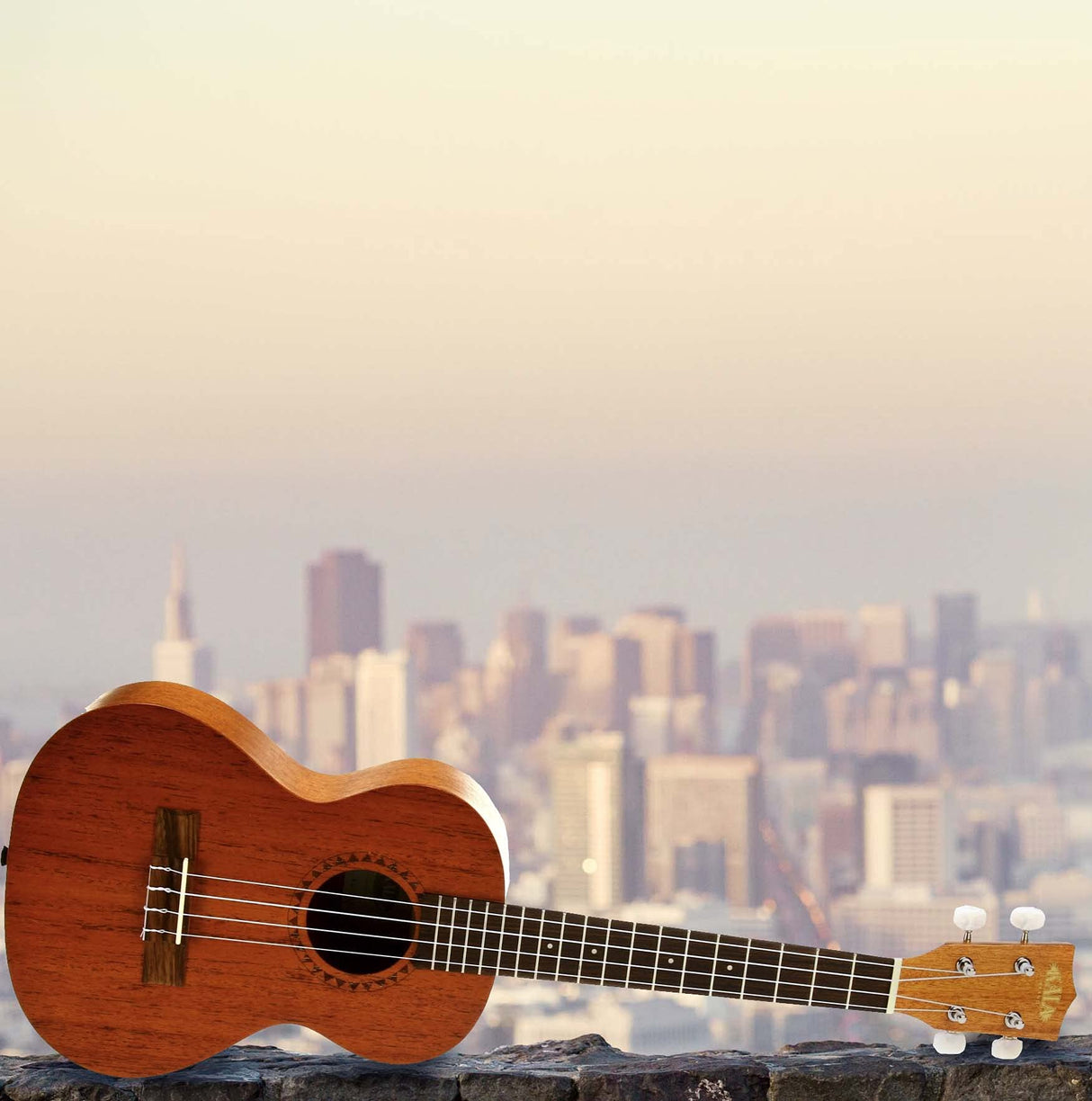 Kala KA-15T Satin Mahogany Tenor Ukulele with Rosewood Fretwood, Aquila Super Nylgut Strings, and Downloadable Kala App Bundle with Blucoil Ukulele Accessories Kit