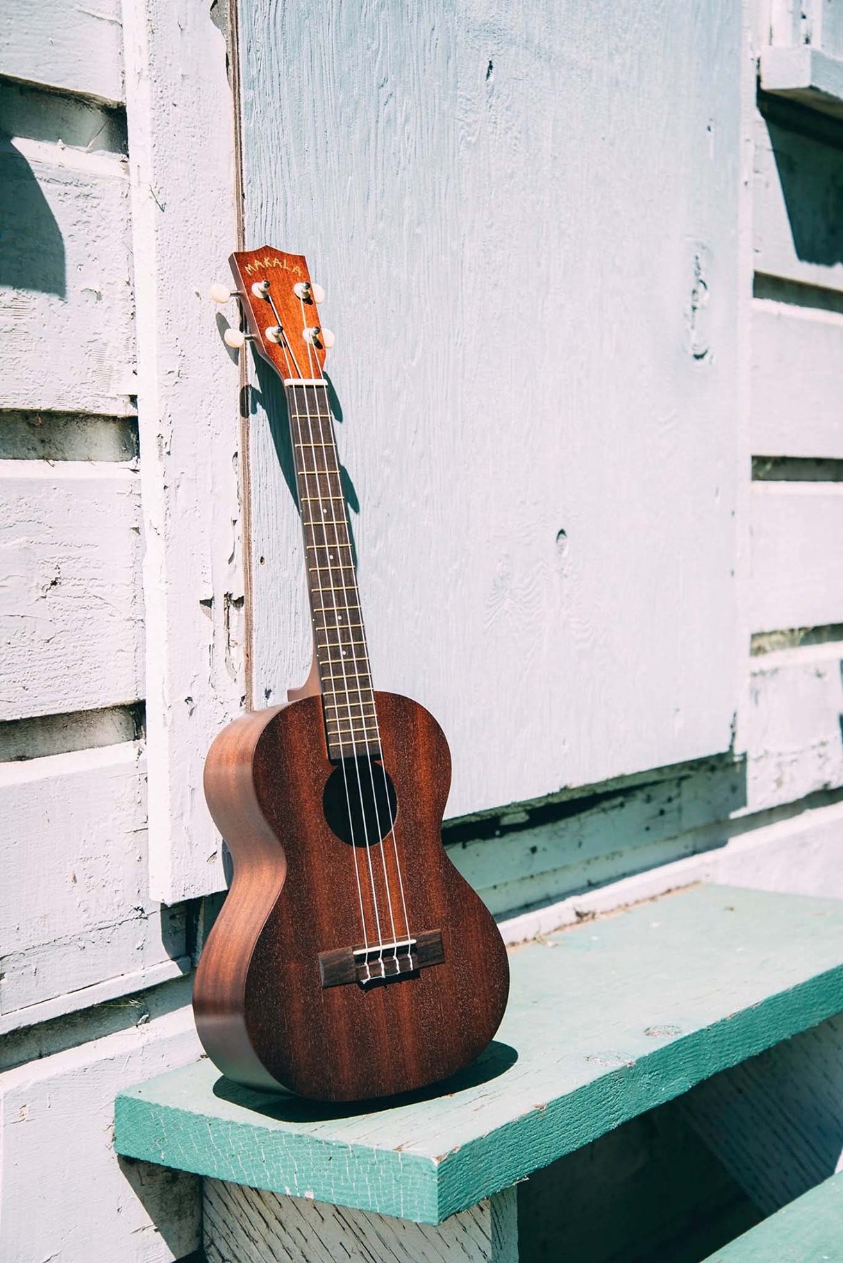 Kala Makala Tenor Mahogany Ukulele (MK-T) with Rosewood Fretboard, Aquila Super Nylgut Strings, and Downloadable Kala App Bundle with Blucoil Ukulele Accessories Kit