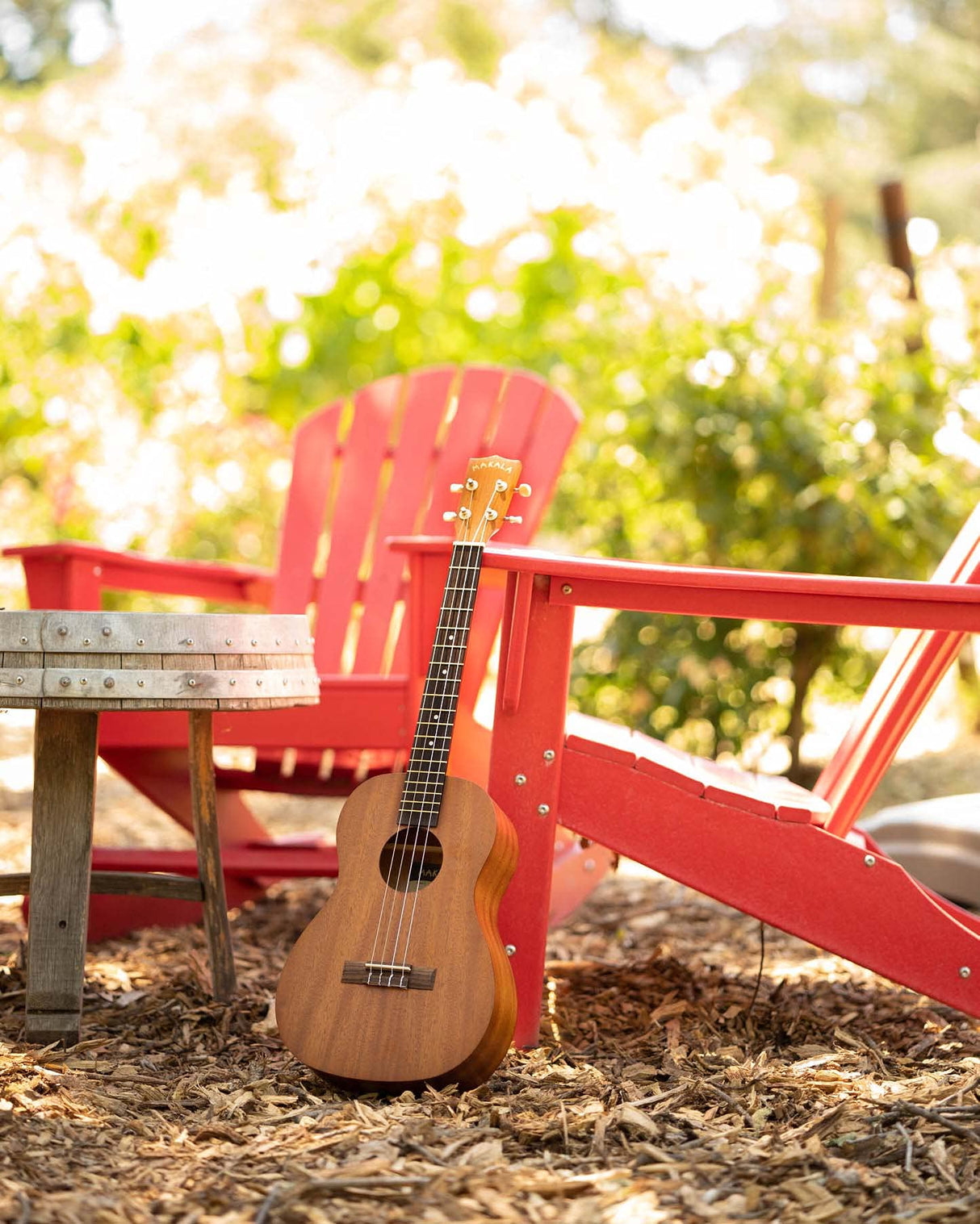 Kala Makala Tenor Mahogany Ukulele (MK-T) with Rosewood Fretboard, Aquila Super Nylgut Strings, and Downloadable Kala App Bundle with Blucoil Ukulele Accessories Kit