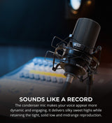 PreSonus AudioBox USB 96 25th Anniversary Audio Interface for Windows and Mac Bundle with MXL 990 Cardioid Condenser Microphone (Black), Blucoil Boom Arm Plus Pop Filter, and 10-FT Balanced XLR Cable